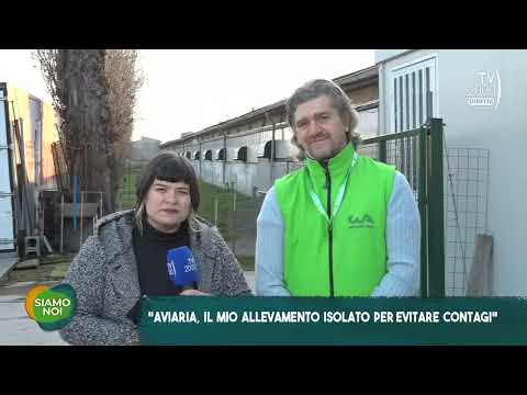 TV 2000 SIAMO NOI - Aviaria: come proteggere gli allevamenti. Con Antenore Cervi (Cia)
