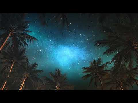 White Noise Sounds | Palm Trees Swaying on A Starry Windy Night For Sleep