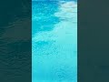 Ye Mausam Bhiga Bhiga Song Rain Oldisgoldsongs Love Bollywood Swimming Shorts