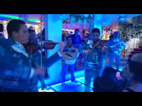 Mariachi Sol Azteca Medellin - Show De Violines