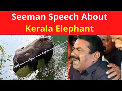 Seeman Speech Latest on About Kerala Elephant