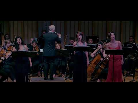 Carmen  Quant au douanier