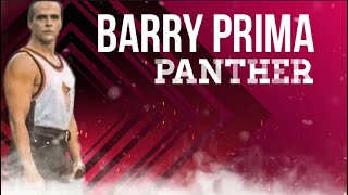 Download lagu BARRY PRIMA PANTHER mp3