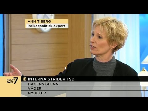Anne Tiberg om striderna inom SD - Nyhetsmorgon (TV4)