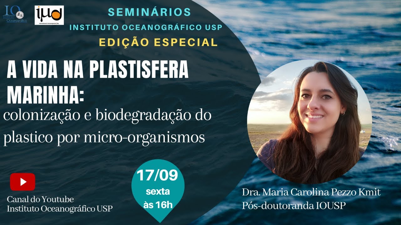 A vida na plastisfera: colonização e biodegradação do plástico por micro-organismos