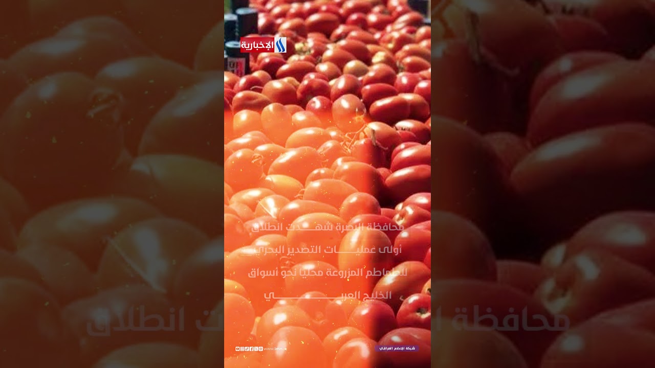 فيديو | من سفوان إلى الخليج.. تصدير 1000 طن من المنتج الزراعي الوطني