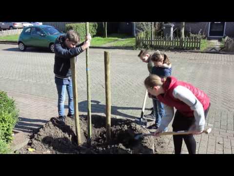 22 Maart 2017 Boomfeestdag in Leuth - Film 3