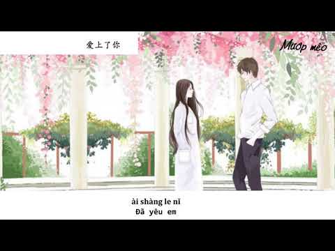 [Vietsub+Pinyin] Đã yêu em - YKEY/ DiESi | 爱上了你 - YKEY/ DiESi ♪Mướp mèo♪