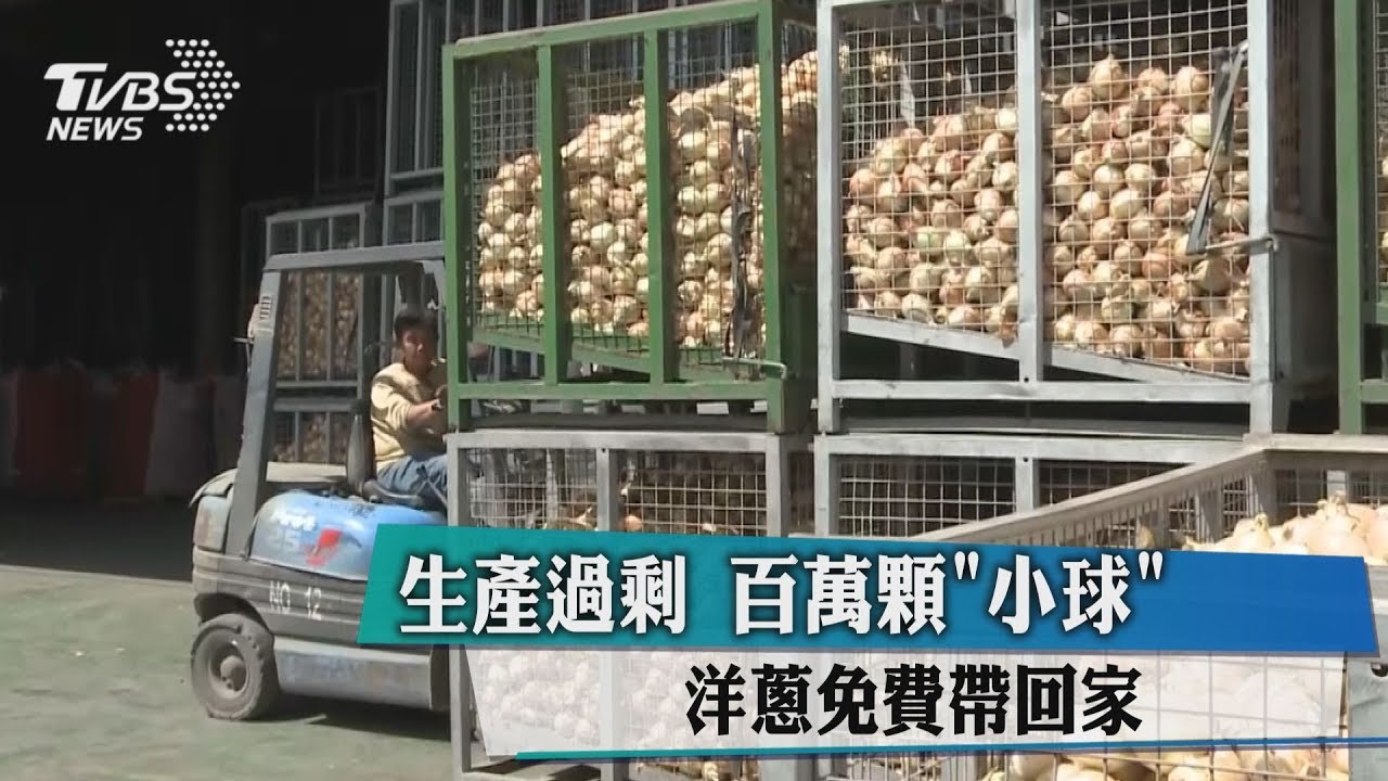 生產過剩　百萬顆「小球」洋蔥免費帶回家