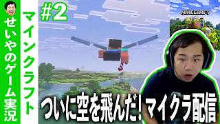 眠れない人へマイクラ配信