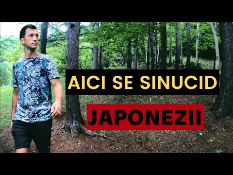 Top Lucruri CIUDATE si ILEGALE in Japonia (PARTEA A 2-A)