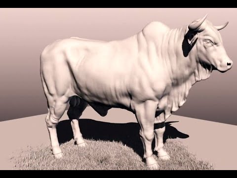 Image Engine Animal Reel