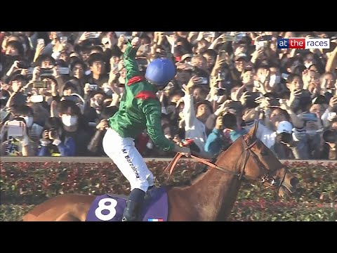 CALANDAGAN WINS THE JAPAN CUP IN A RECORD TIME! 🏆 ジャパンカップ