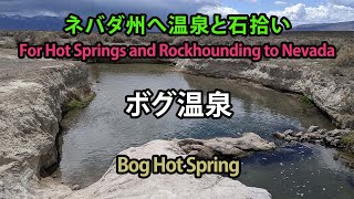 ボグ温泉 ４月 / Bog Hot Springs in April