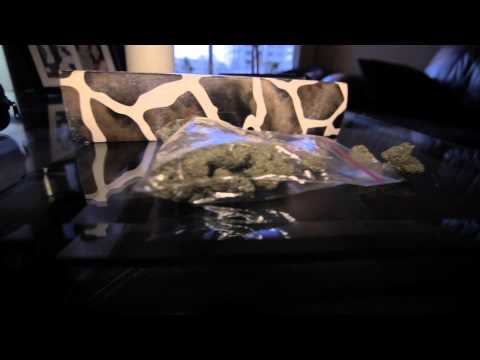 PinKush'N Kidz - Goin In (Teaser)