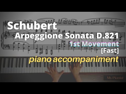 Schubert - Arpeggione Sonata D.821, 1st Mov: Piano Accompaniment [Fast]