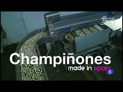 84-Fabricando Made in Spain - Champiñones