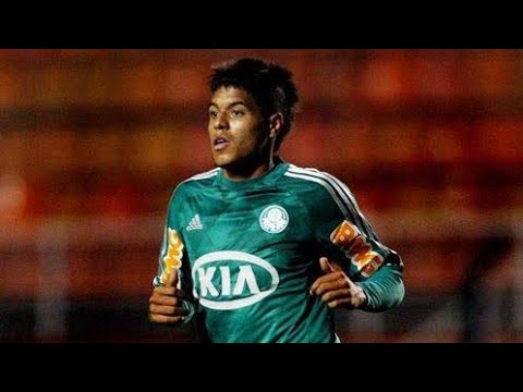 TODOS OS 23 GOLS DE LEANDRO PELO PALMEIRAS