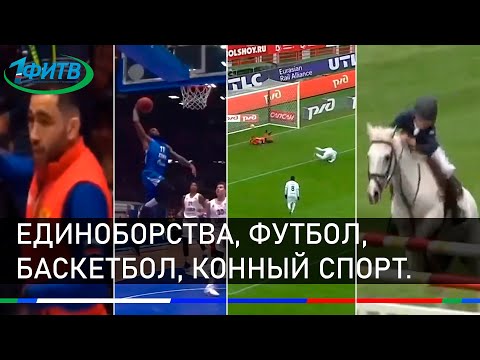 Новости спорта. Единоборства, футбол, баскетбол, конный спорт.