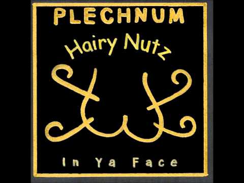 Plechnum - Gränzäbrächä feat. Terence