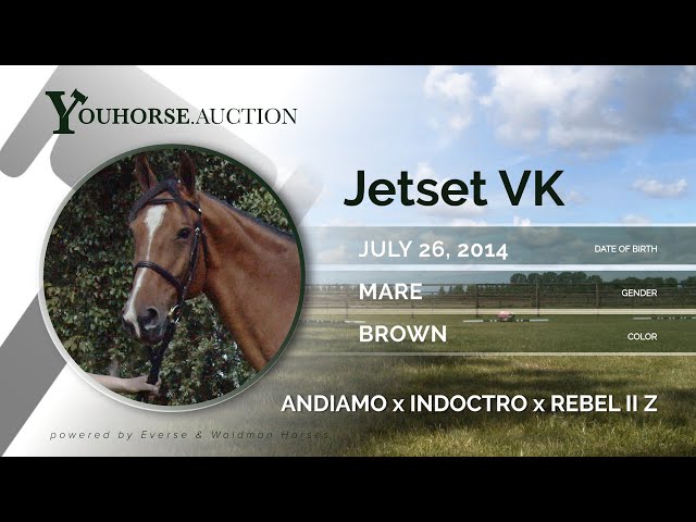 Jetset VK