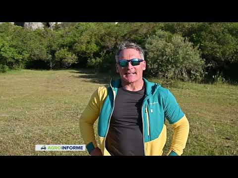 LARREGUI - AREQUITA - LAVALLEJA - BLOQUE 2 SABADO 17 Y DOMINGO 18 DE ENERO DE 2026