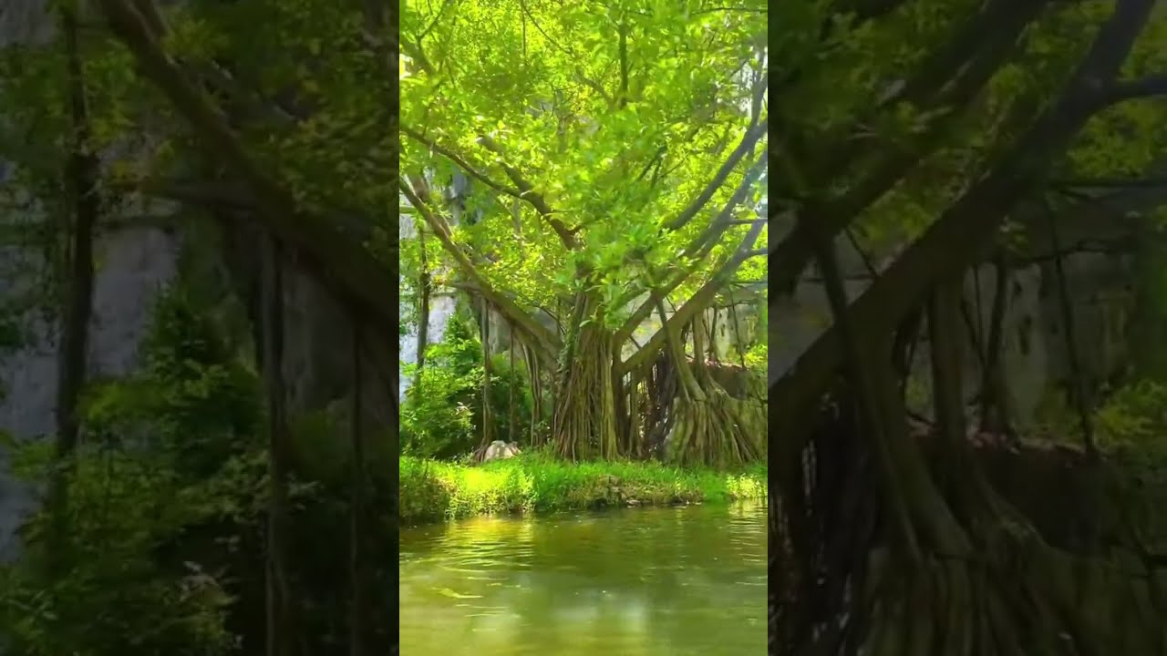 YouTube Short thumbnail