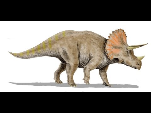 Helping Hovind to understand Triceratops