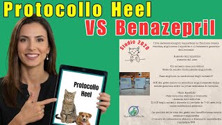 Protocollo Heel gatto cane Terapia SUC