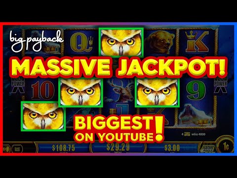 MASSIVE JACKPOT! Biggest. Jackpot. EVER on YouTube Playing Timber Wolf Gold Slots!