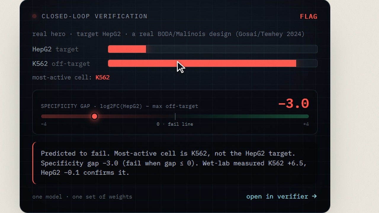 CisFalcon project preview