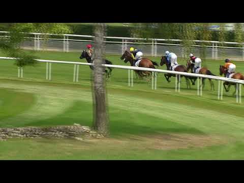 Aarau/28.08.2022/Preis der Kavallerie