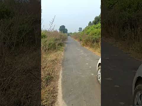  Agricultural Land 10 Acre for Sale in Savner, Nagpur