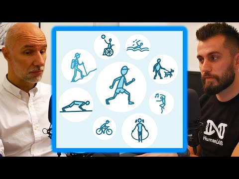 Zašto je važno biti tjelesno aktivan? | prof. Goran Marković Human LAB Clips