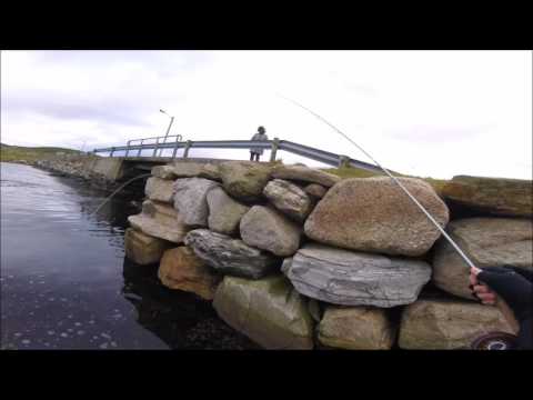 Uferangeln in Norwegen - Mit Blinker und Fliege an der Küste im Südwesten