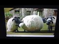 Shaun The Sheep Buzz Off Bees