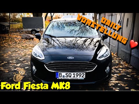 Ford Fiesta MK8: Introducing my daily driver + giving the car a little LOVE