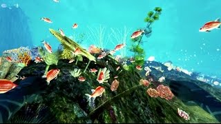 Iron Fish - Official Teaser Trailer