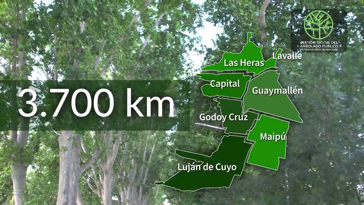 youtube video id=L5zgt-xJRH4