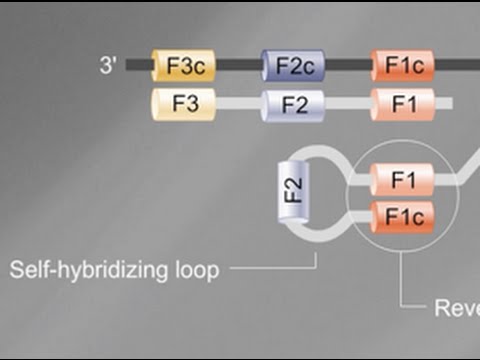 download lagu mp3 mp4 New Works Lamp, download lagu New Works Lamp gratis, unduh video klip New Works Lamp