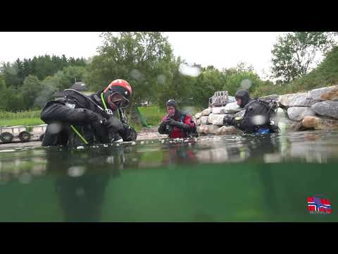 Diving Saltstraumen
