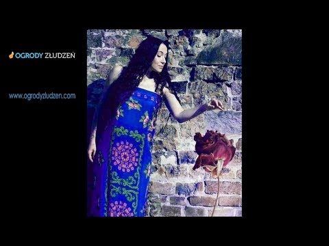 Szafirowa Romanca - Iwona Loranc