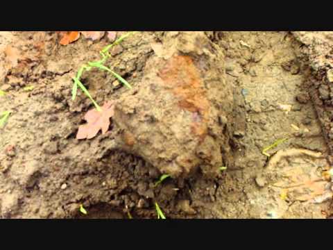 Archäologische Feldbegehung Kaiserzeitliche Siedlung Peine Berkum