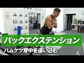 バックエクステンションでハムケツ背中を追い込むやり方【ビーレジェンド プロテイン】