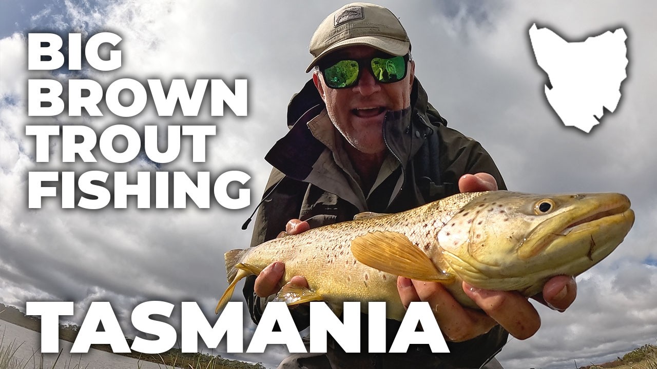 Two Trophy Browns on Dry Fly in 40 km Winds: One Angler's Solo Hike Into Tasmania's 19 Lagoons