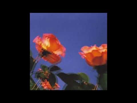 [FREE] lil tecca x New Jazz Type Beat "Roses" Prod. PLB