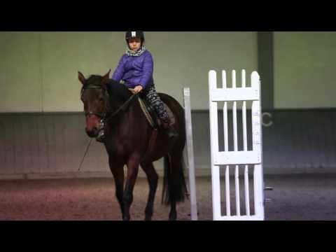 Dziesięciolatka na koniu