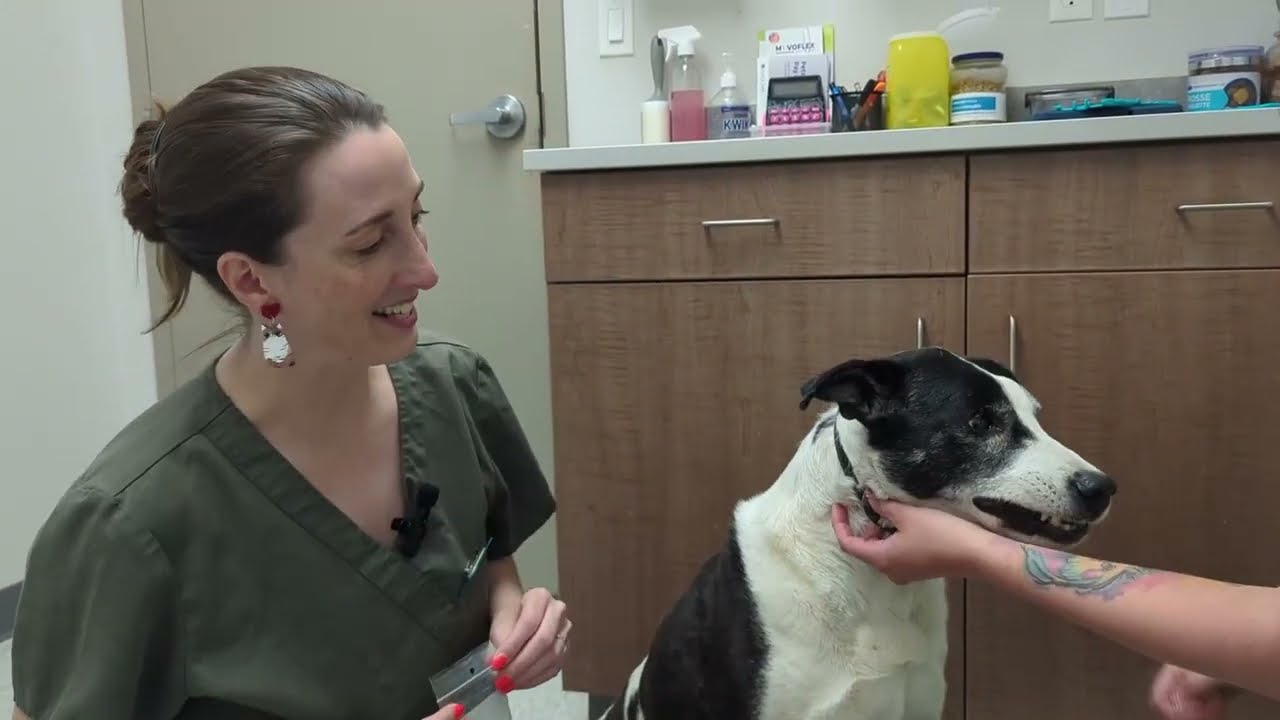 Ear Sampling