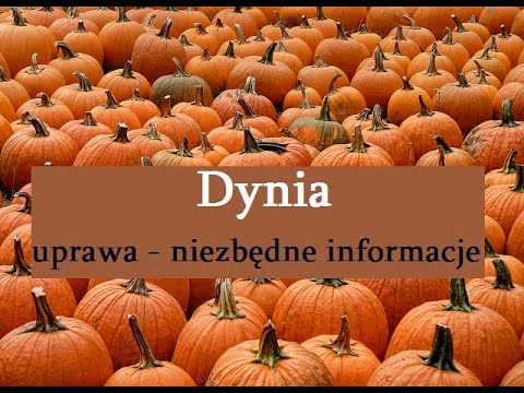 Za ile lat ludzie stracił potencję Słaba siła szybko zakończyć