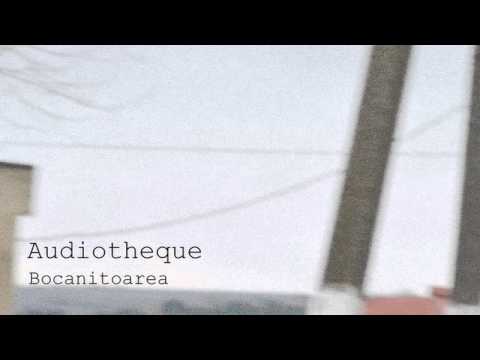 Audiotheque - Flower La Ureche